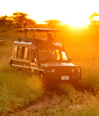 Tour a CLASSIC SAFARI MIGRACIONES Y ETNIAS 4X4 | Tanzania en Español 2026-2027