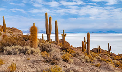 Viajes a BOLIVIA CONFORTABLE 2024 en español | Agencia de Viajes Festival