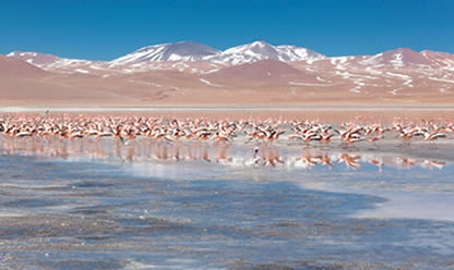 Viajes a BOLIVIA MAJESTUOSO 2024 en español | Agencia de Viajes Festival