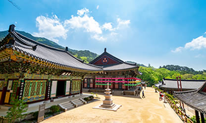 Viajes a COREA Y JAPÓN TRADICIONAL 2026 en español | Agencia de Viajes Festival