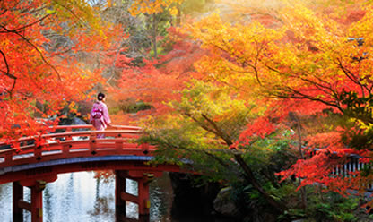 Viajes a MARAVILLAS DE JAPON FIN OSAKA 2025 en español | Agencia de Viajes Festival