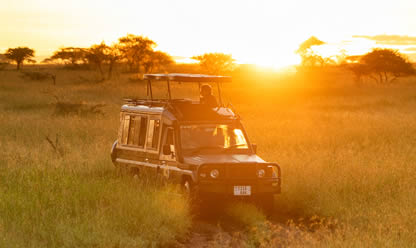 Tour a BELLEZAS DE KENIA Y TANZANIA 2024 en español | Tours a Africa