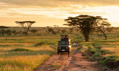 Viajes a TIERRAS DE TANZANIA 2024 en español | Agencia de Viajes Festival