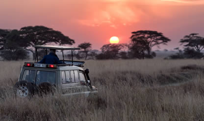 Viajes a SAFARI SHIKAMOO 2026 en español | Agencia de Viajes Festival