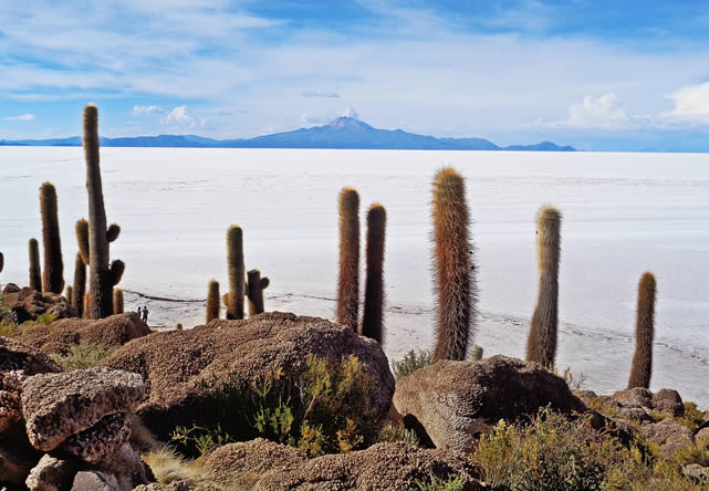 foto del viaje a bolivia en español 2024-2025