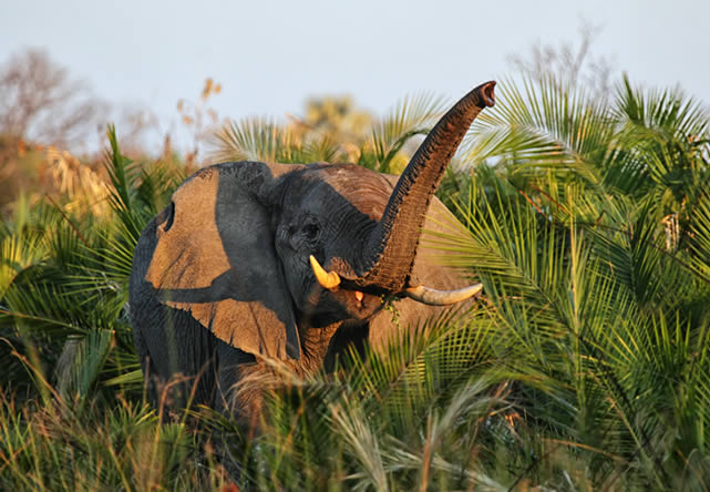 Foto de viaje a kenia  en Español 2024-2025