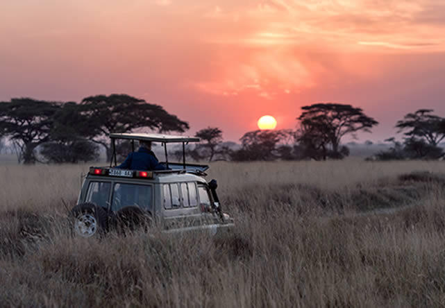 foto del tout a tanzania en español 2024-2025